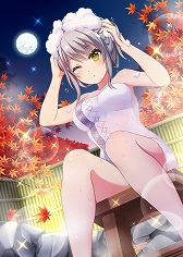 ���������꡼ No.009�Υ���ͥ������ / �֥ץ�������������ɡ��륺�ס���UR�����ɡȽ���������ɤ��о�