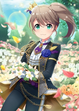 ꡼ No.005Υͥ / ֥ץɡ륺סSSRƴβۤ͡о줹ץߥ६㤬1700˥