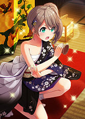 ���������꡼ No.006�Υ���ͥ������ / �֥ץ�������������ɡ��륺�ס��ץ�ߥ��६����˿�SSR�����ɡ�Ǥ����ƻ�ۤ��о�