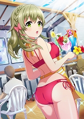 ���������꡼ No.004�Υ���ͥ������ / �֥ץ�������������ɡ��륺�ס���SSR�ֳ��βȡפ��о줹��ץ�ߥ��६��������ƥåץ��åץ����㤬����