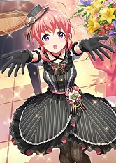 ���������꡼ No.001�Υ���ͥ������ / �֥ץ�������������ɡ��륺�׿�SSR��HARMONIC WEAR�פ��о줹�륬���㤬��������