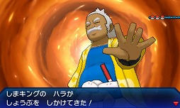 ���������꡼ No.005�Υ���ͥ������ / �֥ݥ��åȥ�󥹥��� ����ȥ饵�󡦥���ȥ�ࡼ��פ�ͽ����դ��������ȡ��֥��󡦥ࡼ��פ���Ƽ亮���ƥ�򶯲�����400��Ķ����ݥ�����о�