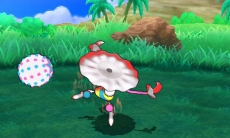 ���������꡼ No.020�Υ���ͥ������ / �֥ݥ��åȥ�󥹥��� ����ȥ饵�󡦥���ȥ�ࡼ��פο����󤬸���������������ϡ֥���ȥ�ۡ���פ䤽�����������