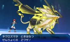 ꡼ No.016Υͥ / ֥ݥåȥ󥹥 ȥ饵󡦥ȥࡼסͥޤȷͥޤǽϤ䡤ѥåפ֥ȥ޴աפʤɤ