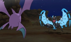 ꡼ No.026Υͥ / ֥ݥåȥ󥹥 ȥ饵󡦥ȥࡼסͥޤȷͥޤǽϤ䡤ѥåפ֥ȥ޴աפʤɤ