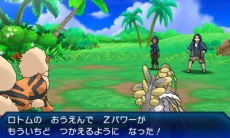 ꡼ No.053Υͥ / ֥ݥåȥ󥹥 ȥ饵󡦥ȥࡼסͥޤȷͥޤǽϤ䡤ѥåפ֥ȥ޴աפʤɤ