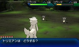 ꡼ No.014 | ֥ݥåȥ󥹥 ȥ饵󡦥ȥࡼץӥ塼̥СɰʾɲǤܤޤǤΩ֤ΰۤʤ륿ȥ