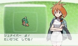 ꡼ No.005 | ֥ݥХ󥯡פǱä֥ʥѡס֥ס֥졼̡פ館