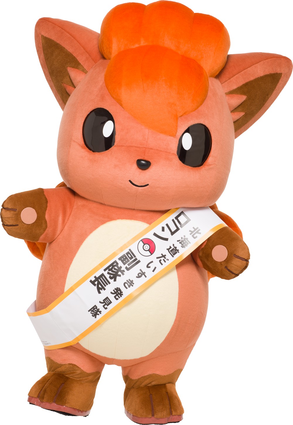 画像集 008 第70回さっぽろ雪まつりに ポケモン のアローラロコンとロコン