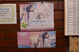 ꡼ No.006Υͥ / ȥ륫ˤɴפ¸ʬ̣廊롣֤ȤΤϥ顼ȡס֤ĤΥ顼סJAM Akihabaraܥեݡ