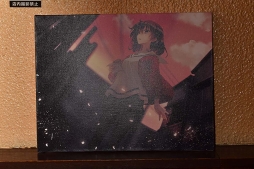 ꡼ No.010Υͥ / ȥ륫ˤɴפ¸ʬ̣廊롣֤ȤΤϥ顼ȡס֤ĤΥ顼סJAM Akihabaraܥեݡ