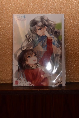 ꡼ No.012Υͥ / ȥ륫ˤɴפ¸ʬ̣廊롣֤ȤΤϥ顼ȡס֤ĤΥ顼סJAM Akihabaraܥեݡ