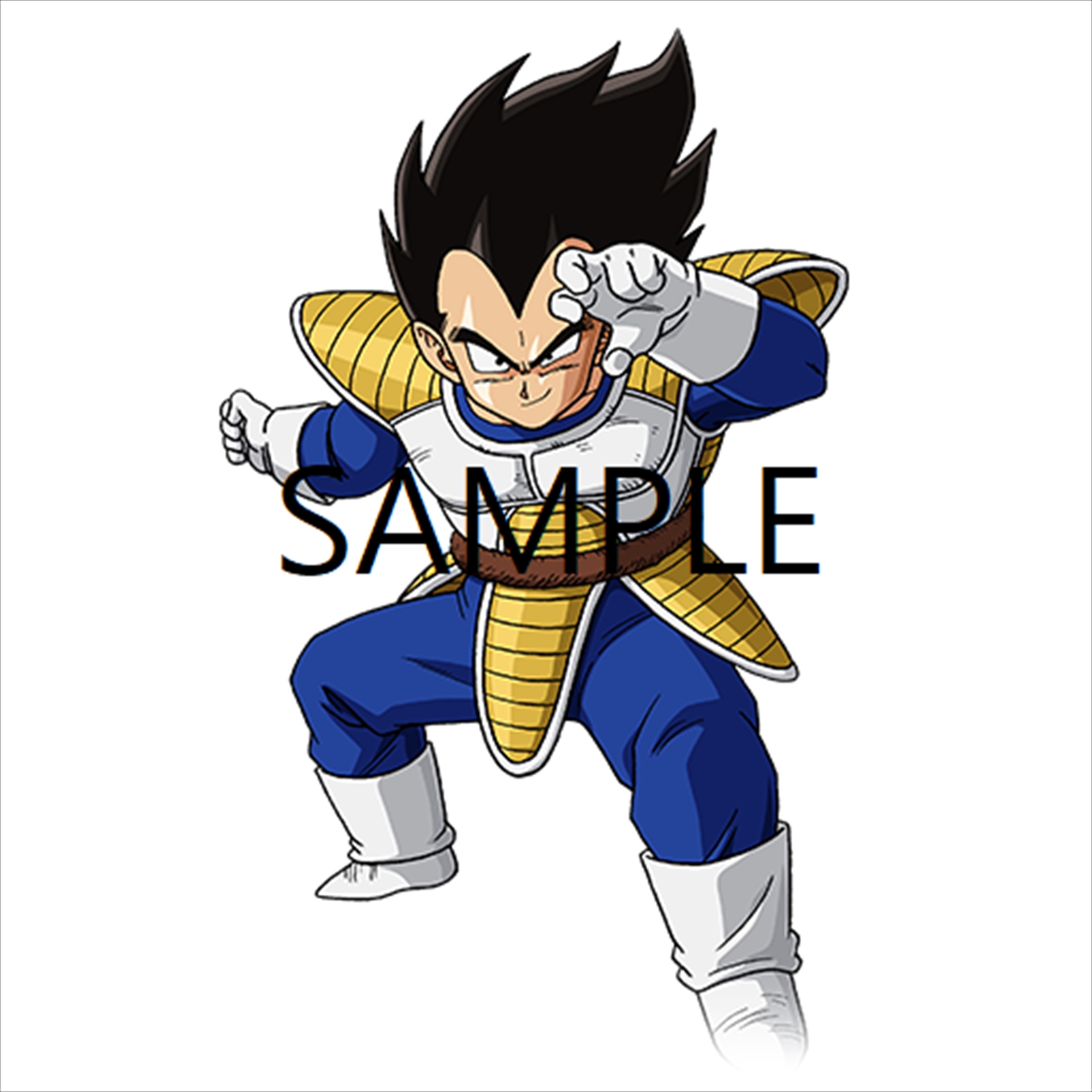 画像集 004 ドラゴンボール ファイターズ 通常状態の 孫悟空 と ベジータ がプレイアブルになる