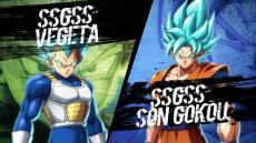 ꡼ No.003Υͥ / ֥ɥ饴ܡ եפ2.5PV饯PV֥ե꡼ס֥סŷӡפη4ܤ