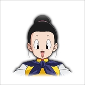 ꡼ No.006Υͥ / ֥ɥ饴ܡ եסСåȥ֥꡼Ͽ줿եѥåۿϡPV6Ƥθ