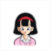 ꡼ No.007Υͥ / ֥ɥ饴ܡ եסСåȥ֥꡼Ͽ줿եѥåۿϡPV6Ƥθ