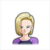 ꡼ No.008Υͥ / ֥ɥ饴ܡ եסСåȥ֥꡼Ͽ줿եѥåۿϡPV6Ƥθ