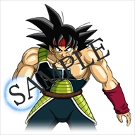 ꡼ No.011Υͥ / ֥ɥ饴ܡ եסСåȥ֥꡼Ͽ줿եѥåۿϡPV6Ƥθ