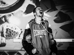 ��®��ۡ�EVO2018�ϡ֥ɥ饴��ܡ��� �ե����������������ͥ����SonicFox���ꡣ���ƺǶ��з�ϥ���ꥫ�˷��ۤ��夬��