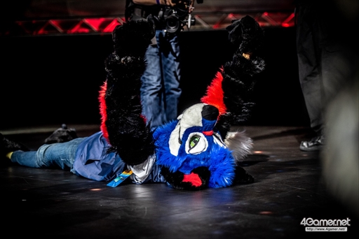 ꡼ No.006 | ®ۡEVO2018ϡ֥ɥ饴ܡ եͥSonicFoxꡣƺǶзϥꥫ˷ۤ夬