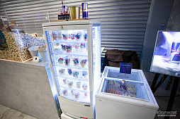 ꡼ No.022 | 辡ؤǸΥݥRed Bull DRAGON BALL FighterZ WORLD TOUR Japanץեȥݡ