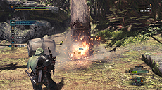 ꡼ No.010Υͥ / MONSTER HUNTER: WORLDפPS PlusԸ١ƥȤܻ1210200˥ȡ»ͷʤɤξܺ٤
