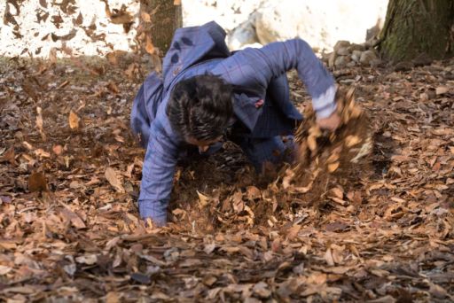 ���������꡼ No.008�Υ���ͥ������ / ��MONSTER HUNTER: WORLD�פΥƥ��CM�ǻ��Ĺ�Ƿ���󤬥�󥹥�����ˡ�1��19���������������