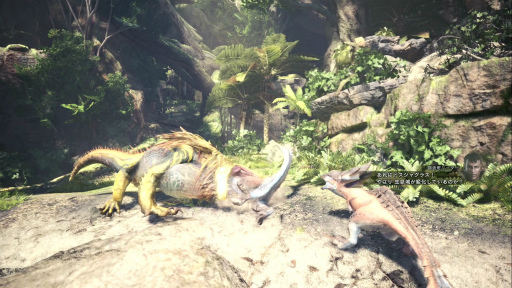 ꡼ No.034Υͥ / MONSTER HUNTER: WORLD׼Υ 1󡧸ܤӡȤϥǿ͡ ƥϥ󥿡ΦΩ