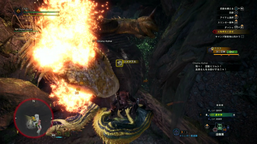 画像ギャラリー No.011のサムネイル画像 / 「MONSTER HUNTER: WORLD」狩猟生活ノススメ 第2回:いよいよ狩りが本格化! アンジャナフ,おそろしい子……編