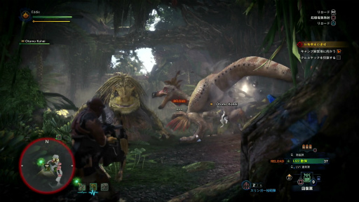 画像ギャラリー No.026のサムネイル画像 / 「MONSTER HUNTER: WORLD」狩猟生活ノススメ 第2回:いよいよ狩りが本格化! アンジャナフ,おそろしい子……編