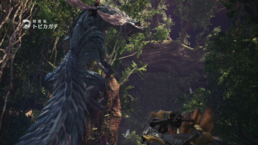 ꡼ No.015 | MONSTER HUNTER: WORLD׼Υ 3󡧡ĥռɤ ʥ󥸥ʥաƤӡġ