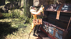 ꡼ No.014Υͥ / MONSTER HUNTER: WORLD׺ǿ٥Ⱦ46ϤΡ֥ƥסڳ֤αۡס֥åޥץܥȤξܺ٤