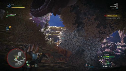 ꡼ No.002 | MONSTER HUNTER: WORLD׼Υ 4󡧥ǿͥϥ󥿡Ĥ˥ޥץ쥤̣Τ