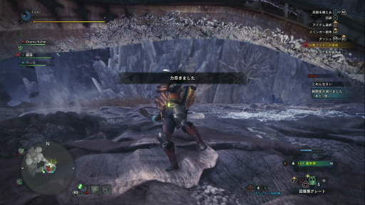 ꡼ No.030 | MONSTER HUNTER: WORLD׼Υ 4󡧥ǿͥϥ󥿡Ĥ˥ޥץ쥤̣Τ