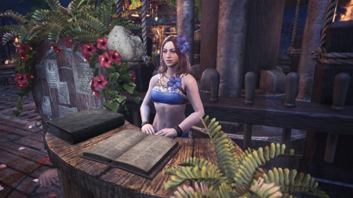 画像ギャラリー No.005のサムネイル画像 / 「MONSTER HUNTER: WORLD」,夏のイベント「アステラ祭 納涼の宴」が本日より開催