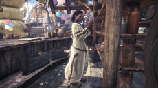 ���������꡼ No.003�Υ���ͥ������ / PS4�ǡ�MONSTER HUNTER: WORLD�ס�1��26������Ԥ���1��ǯ��ǰ���٥�Ȥ˹�碌��DLC���ۿ�����