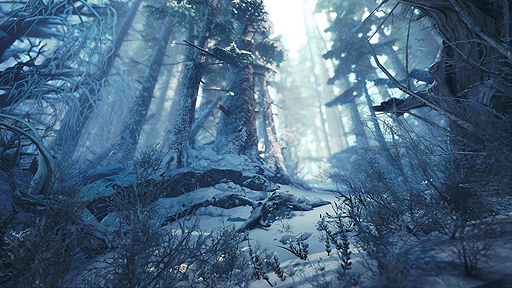 ꡼ No.024 | MONSTER HUNTER WORLD: ICEBORNEפPS496PCǺȯءʥեɤ󥹥ξ󤬰