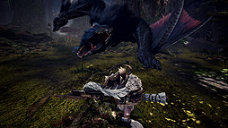 ꡼ No.038 | MONSTER HUNTER WORLD: ICEBORNEפPS496PCǺȯءʥեɤ󥹥ξ󤬰