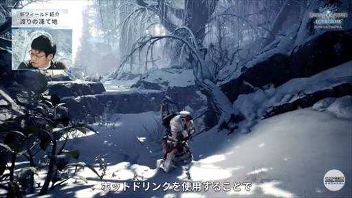 ���������꡼ No.006�Υ���ͥ������ / ��MONSTER HUNTER WORLD:ICEBORNE�פΥ��ڥ����ץ�����ब�ۿ����ᥤ���󥹥����֥������륫���ʡפ俷���������ʤɤ�����Ϫ��