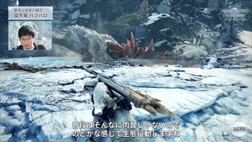 ���������꡼ No.013�Υ���ͥ������ / ��MONSTER HUNTER WORLD:ICEBORNE�פΥ��ڥ����ץ�����ब�ۿ����ᥤ���󥹥����֥������륫���ʡפ俷���������ʤɤ�����Ϫ��