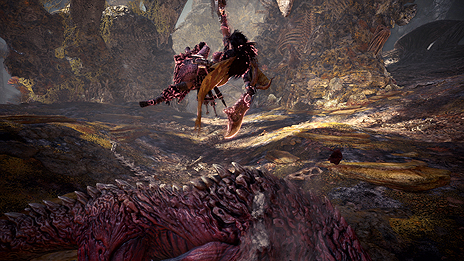 ꡼ No.010 | 緿ĥMONSTER HUNTER WORLD: ICEBORNEסҼзΥҲư褬