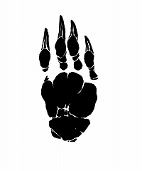 ꡼ No.005Υͥ / ֥󥹥ϥ󥿡ե'19-'20פŸ륳ƥĤξ󤬸