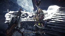 ꡼ No.020Υͥ / MHW: ICEBORNEס1010»ͽΥåץǡȾ󤬸顼ޥϥοǽƳϤɲǤʤ