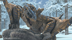 画像ギャラリー No.028のサムネイル画像 / 「モンスターハンター」,10月31日から開催する15周年記念イベントの続報が公開。オフィシャルブックや連動施策の情報も