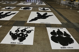 ꡼ No.061 | ֥󥹥ϥ󥿡ե'19-'20ݡȡơ٥ȤǤϡMHW:Iפοо󥹥󥪥ιΤ