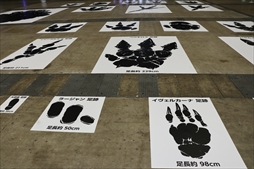 ꡼ No.062 | ֥󥹥ϥ󥿡ե'19-'20ݡȡơ٥ȤǤϡMHW:Iפοо󥹥󥪥ιΤ