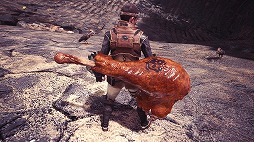 画像ギャラリー No.019のサムネイル画像 / 「MHW: ICEBORNE」,“アステラ祭【煌めきの宴】”と新たなお祭り“セリエナ祭【万福の宴】”が12月20日から開催