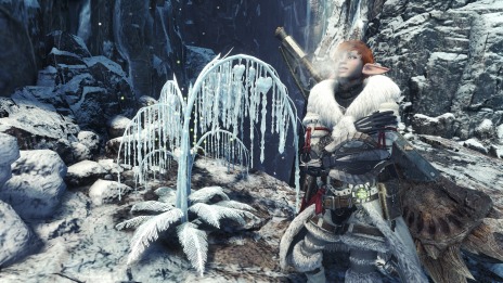 ���������꡼ No.016�Υ���ͥ������ / ��MONSTER HUNTER WORLD: ICEBORNE�ס����������ס֥��ꥨ�ʺס��紶�դα�ۡפȡ֥����ƥ�סڴ��դα�ۡפ�������곫��