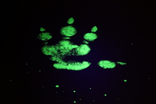 ���������꡼ No.004�Υ���ͥ������ / �֥�󥹥����ϥ󥿡�15��ǯŸ�פ��ѥ���åפ��Ʋ��͡������ӥ���о졣����ܴ����θ��Ǥ�����ǥ���������������ݡ���