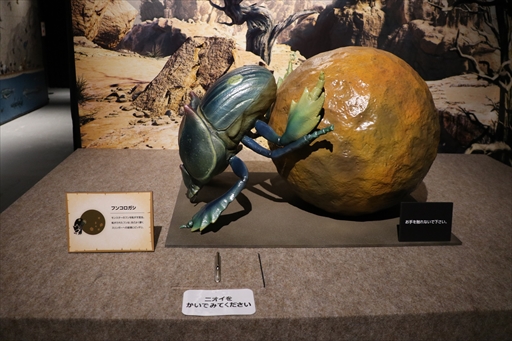 ���������꡼ No.015�Υ���ͥ������ / �֥�󥹥����ϥ󥿡�15��ǯŸ�פ��ѥ���åפ��Ʋ��͡������ӥ���о졣����ܴ����θ��Ǥ�����ǥ���������������ݡ���